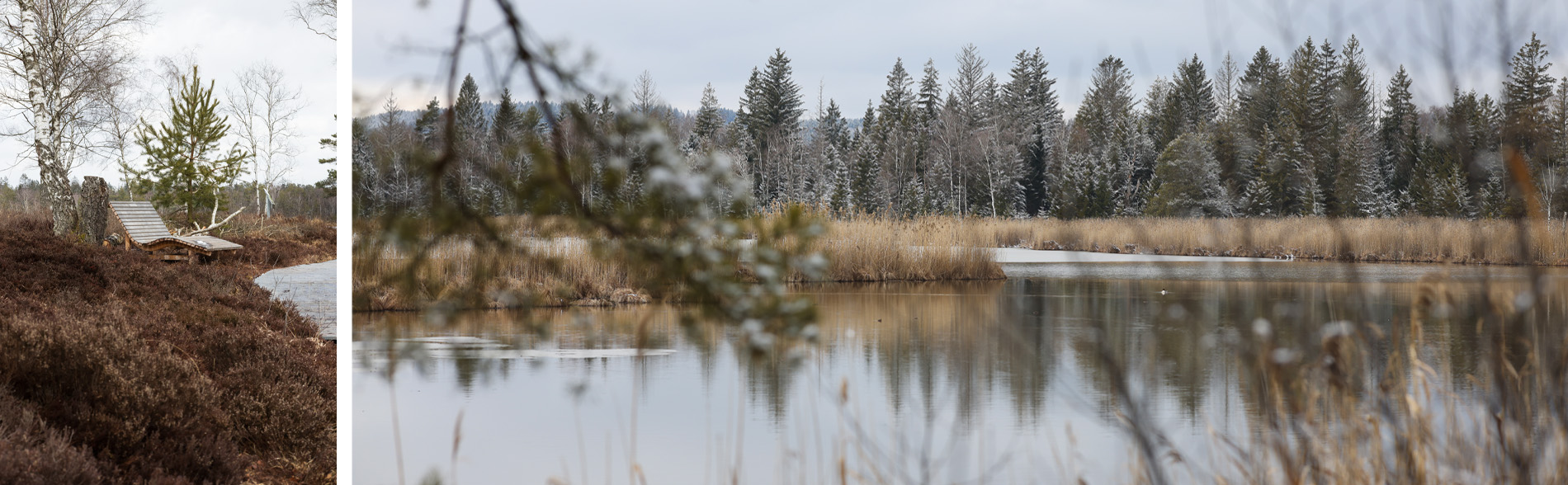 Wurzacher Ried Aussicht